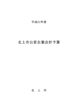（公営企業会計）(PDFファイル)