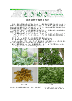 薬用植物の栽培と利用 - www3.pref.shimane.jp_島根県