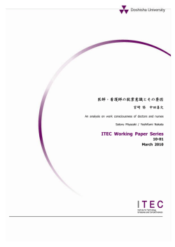 ITEC Working Paper Series