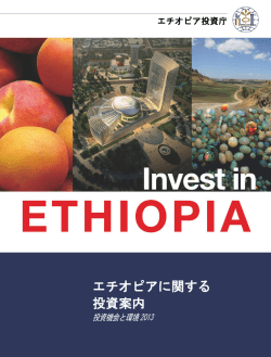 エチオピアに関する 投資案内 - 国際連合工業開発機関（UNIDO）