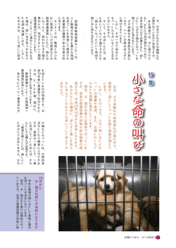 広報とうおん9月号…2〜28ページ