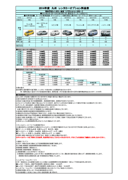 2014年度 九州 レンタカーオプション料金表