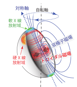 双極子磁場 トロイダル磁場 対称軸
