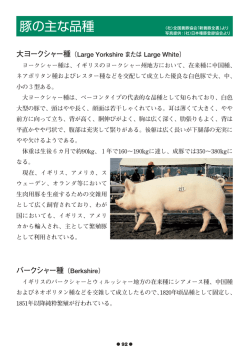 豚の主な品種