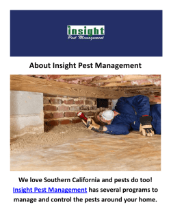 Insight Pest Termite Inspection in Camarillo, CA