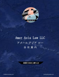 Amer Asia Law LLC