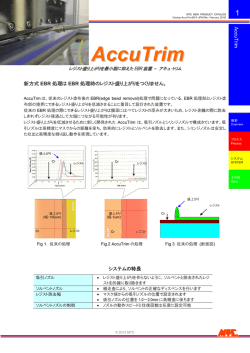AccuTrim - 株式会社エムテーシー