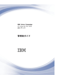 IBM Unica Campaign