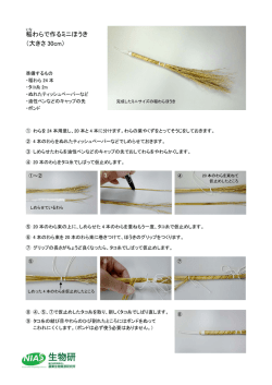 稲 わらで作るミニほうき （大きさ 30cm）