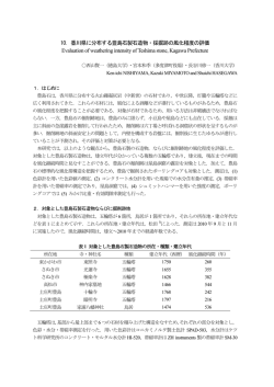10. 香川県に分布する豊島石製石造物・採掘跡の風化程度の評価
