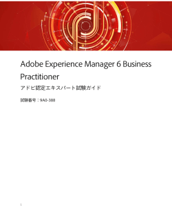 Adobe Experience Manager 6 Business Practitioner