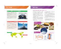 グローバル活動 - 日本合成化学