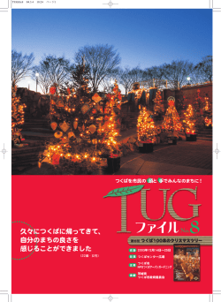 PDF 3.9MB - 100本のクリスマスツリー