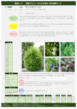 植栽カード ： 植栽プランナーのための樹木・草花基礎データ ギンバイカ