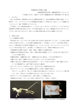 骨格標本の作製と比較 - 北海道標茶高等学校