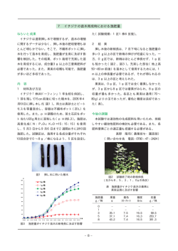 7 イチジクの苗木育成時における施肥量
