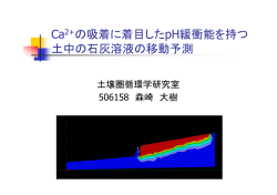 Ca2+ の吸着に着目したpH緩衝能を持つ 土中の石灰溶液の移動予測