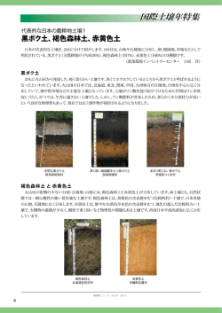 代表的な日本の農耕地土壌1 黒ボク土、褐色森林土、赤黄色土 （農環研