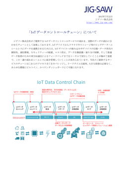 IoT Data Control Chain - JIG