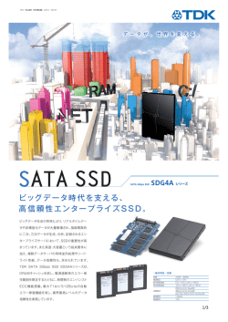 SATA SSD - TDK Product Center
