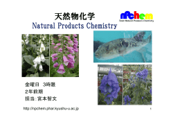 天然物化学 - Natural Products Chemistry