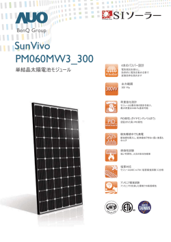 SunVivo PM060MW3_300