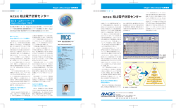 株式会社 松山電子計算センター - Magic Software
