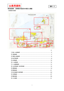 2 別添資料 長崎港の地区別の現況と課題（pdfファイル）