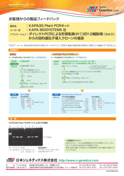 ダイレクトPCRによる形質転換からの目的遺伝子導入クローン選抜/日本語