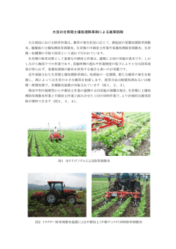 大豆の生育期土壌処理除草剤による雑草防除