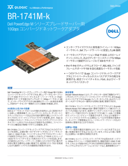 BR-1741M-k 10Gbps Converged Network Adapter for Dell