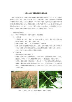 大豆作における難防除雑草と防除対策 近年、県内各地の大豆ほ場で