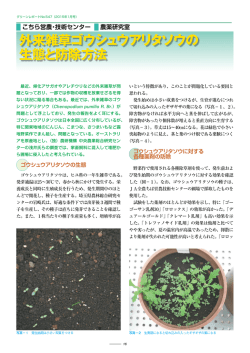 外来雑草ゴウシュウアリタソウの 生態と防除方法