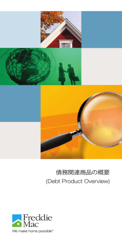 Debt Securities Product Overview Brochure, Japanese