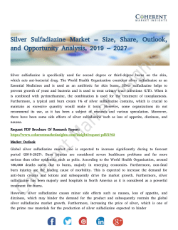 Silver Sulfadiazine Market