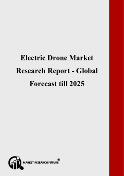 Electric Drone Market