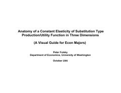 Anatomy of a Constant Elasticity of Substitution Type - E-SGH