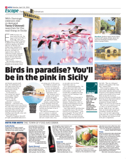 Birds in paradise? you`ll be in the pink in sicily