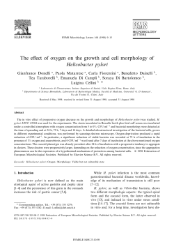 The effect of oxygen on the growth and cell morphology of