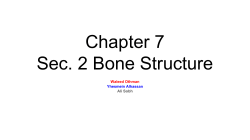 Chapter 7 Sec. 2 Bone Structure