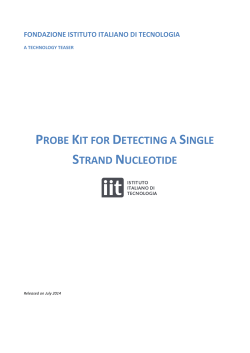 probe kit for detecting a single strand nucleotide