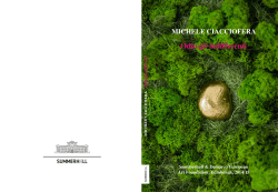catalogue - Michele Ciacciofera