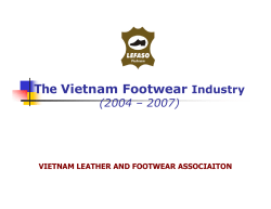 The Vietnam Footwear Industry