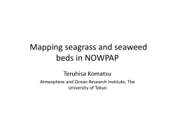 Mapping seagrass and seaweed Mapping seagrass and seaweed