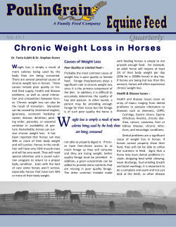Chronic Weight Loss in Horses