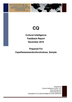 CQ Self Assessment with Cultural Values Sample_Dec 22 2010.pdf