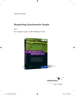 Blueprinting Questionnaire Sample - SAPinsider Store