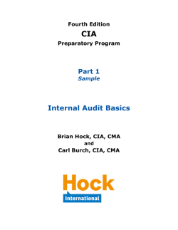 CIA Part 1 Textbook Sample - HOCK international