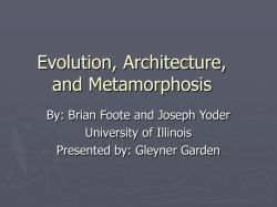 Evolution, Architecture, and Metamorphosis