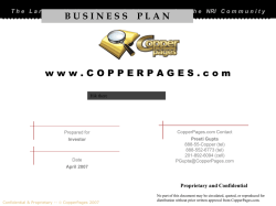 CPP Business Plan